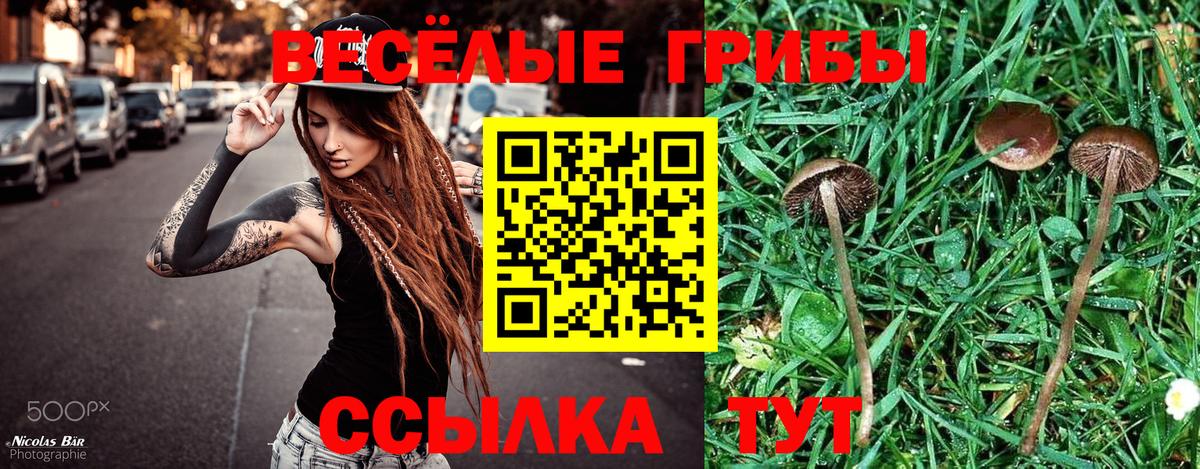 Галлюциногенные грибы ЛСД  Псилоцибиновые грибы мухоморы  Вход с VPN  Кыштым 