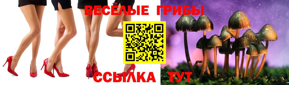 Купить наркотики  МЕФ кристаллы  Cocaine  Кыштым  ГАШ  Бошки Шишки  Вход с VPN 